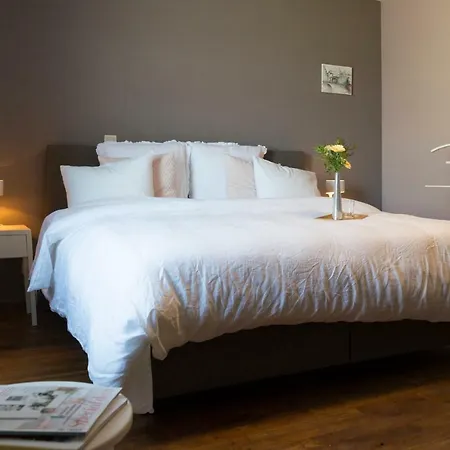 ベッド・アンド・ブレックファスト Les Petits Secrets De Nonna-chambre D Dinant 3*