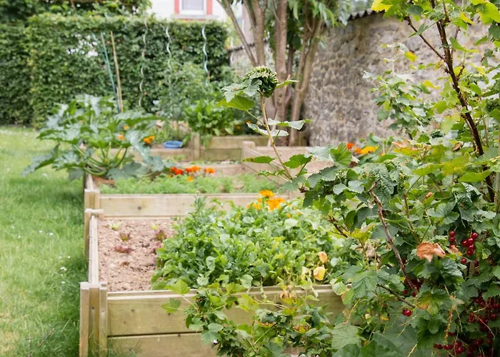 Les Petits Secrets De Nonna-chambre D Dinant Bed & Breakfast
