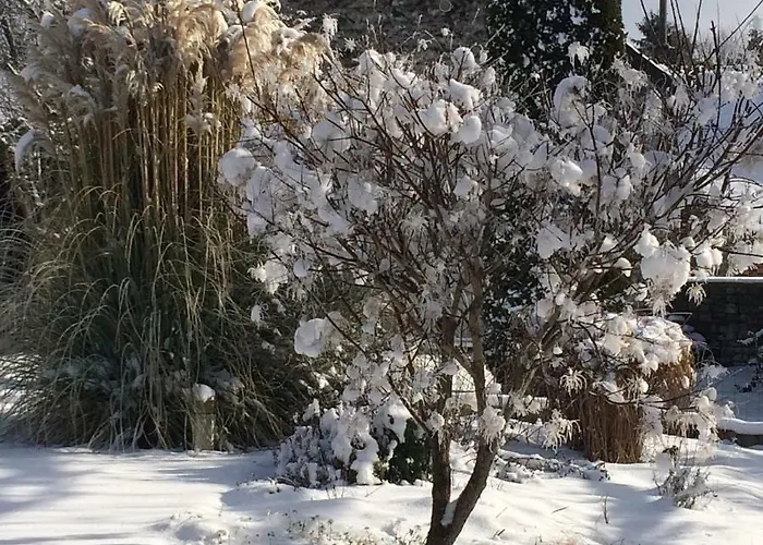 Les Petits Secrets De Nonna-chambre D Dinant 3* Flavion